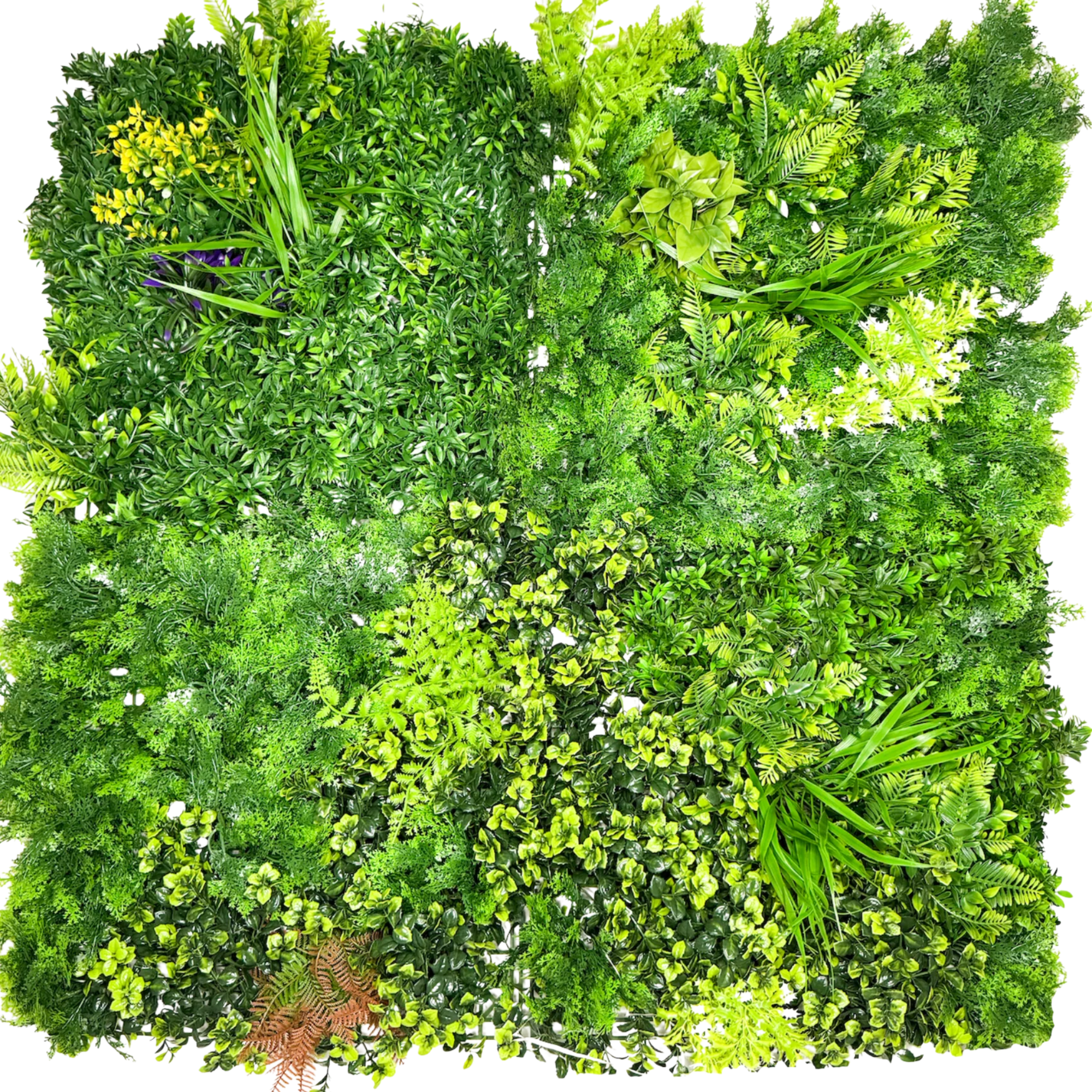 Botanical
