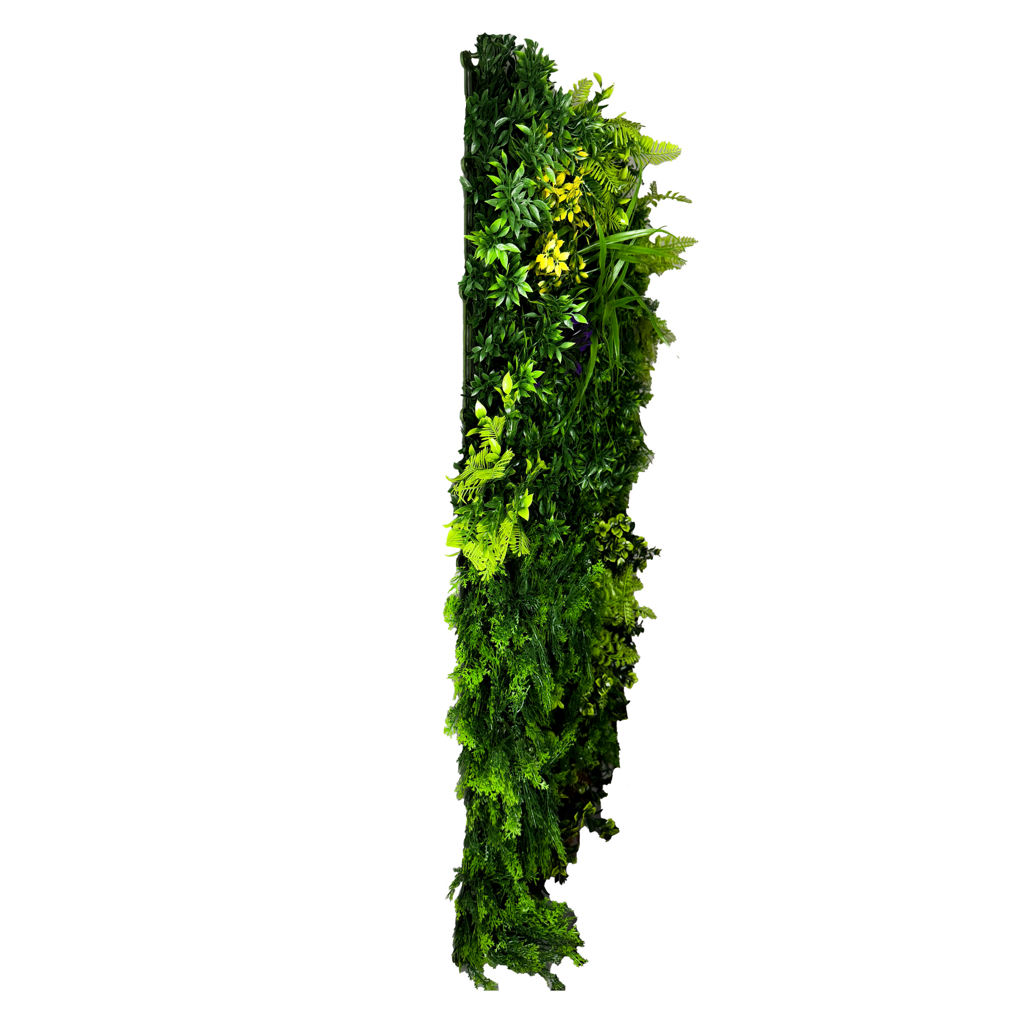 Botanical